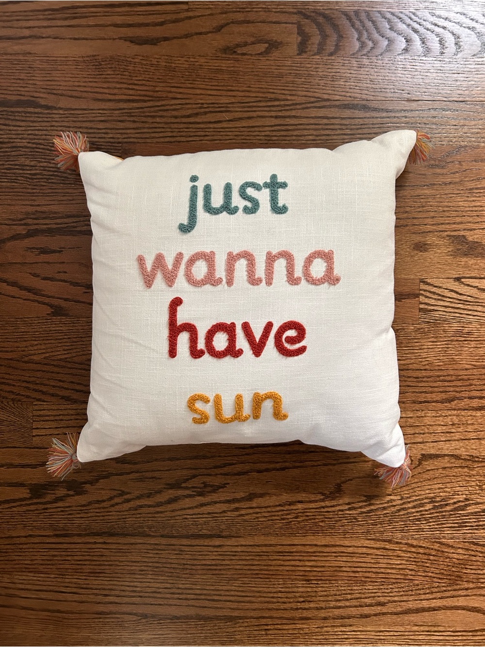 Target Room Essentials Embroidered 'just wanna have sun' Throw Pillow